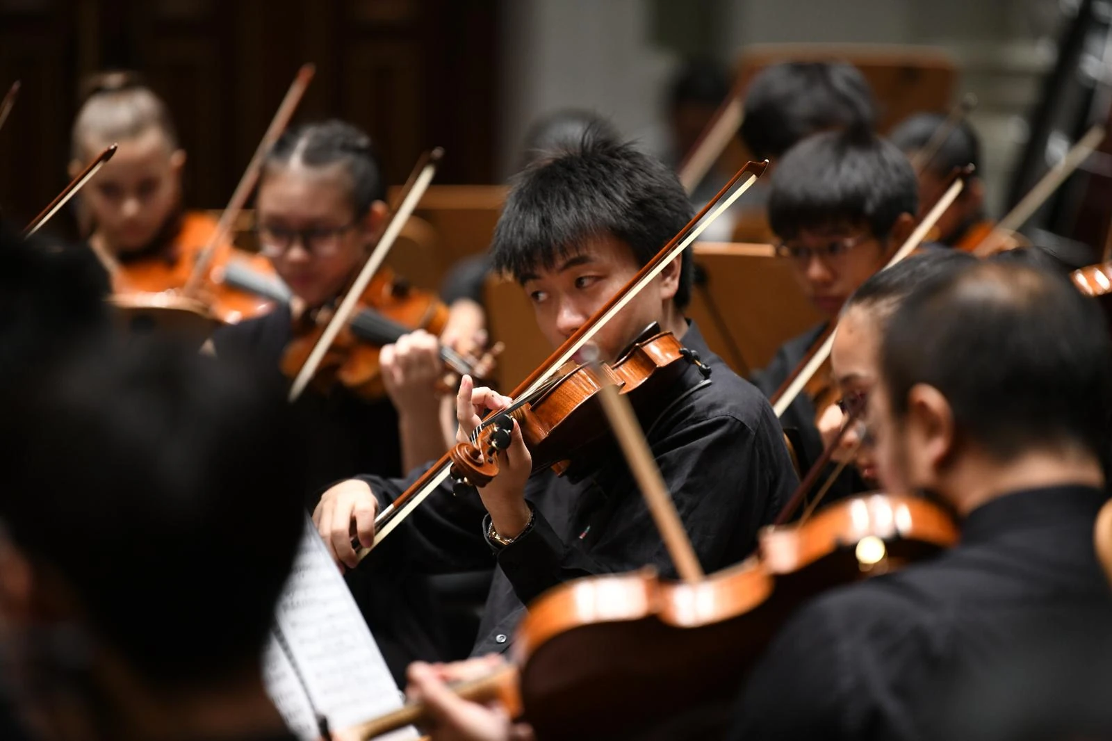 Close-up of a violinist playing among other musicians in the string section.